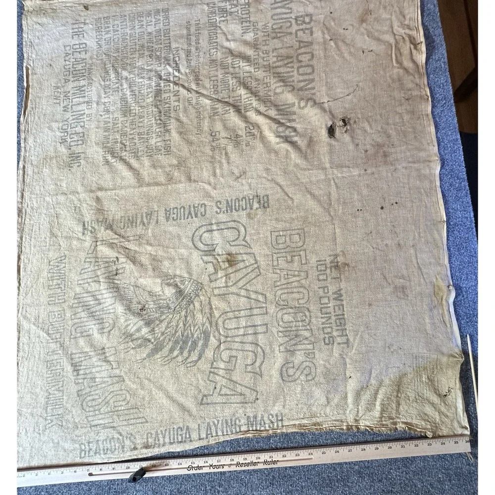 Vintage Cayuga Chicken Feed Bag‎ Beacon Milling Co Laying Mash Indian Chief Head